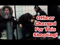 Shambolic Display By Chicago Transit Officers