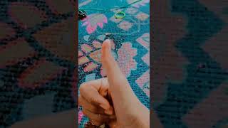 Download lagu wongkongene kok di bandeng bandengke Saeng saengke mp3