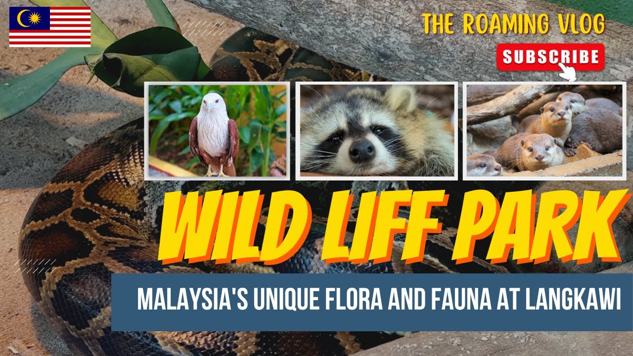 Explore Langkawi Wildlife Park and get up close with exotic birds, reptiles, and wildlife