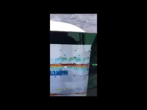 DFF3D 295 Marking Marlin Hells Bells