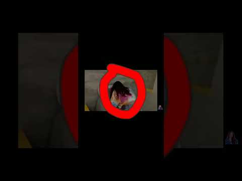 luluca esta sendo perseguida