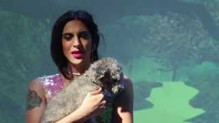 Video Hombre de Ojalata de Zemmoa