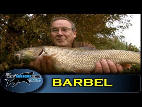Barbel fishing tips (part 2) - Rolling meat on the Kennet - Totally Awesome Fishing