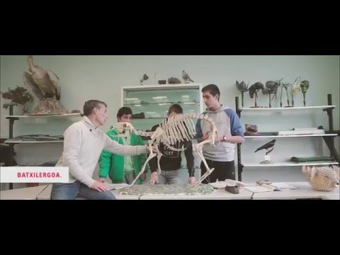 Urnietako Salesiarrak