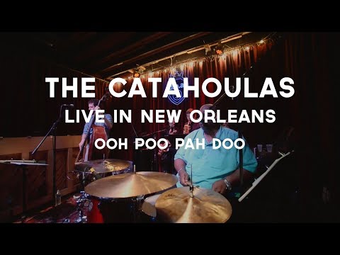 The New Orleans Catahoulas video