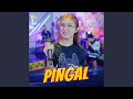 Pingal Cover