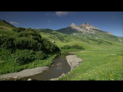 Körbersee (CINEDOKU Vorarlberg)