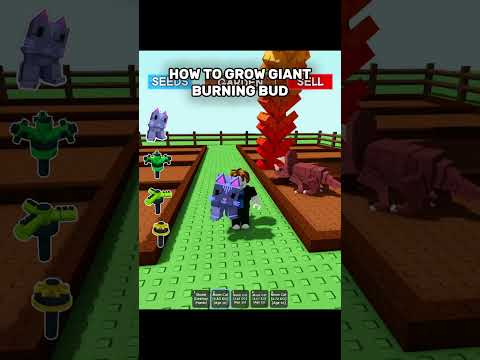 Growing GIANT Burning Bud🔥| Grow A Garden Roblox