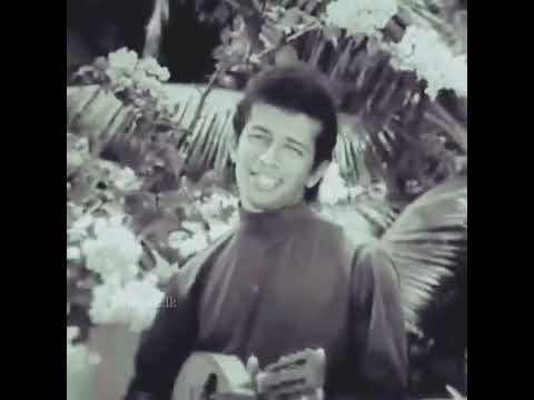 Sal Sapuna Nil Manel -  සල් සපුනා නිල් මානෙල් H R Jothipala | original song 