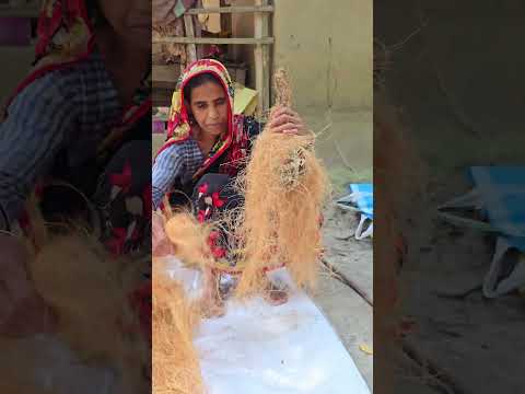 From Green Coconut to Beautiful Bird Nest #shorts #ytshorts