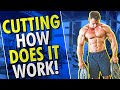 How Much Cardio to do When Cutting!