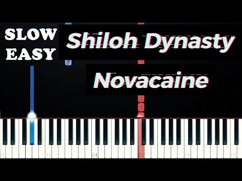 Shiloh Dynasty - Novacaine (SLOW EASY PIANO TUTORIAL)