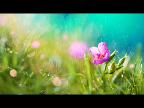 PHILLIP LOBER "Clockwater" FULL ALBUM Most Beautiful Music Ever