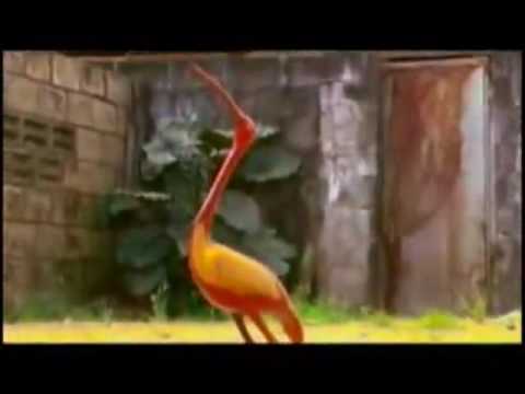 Bemja - djaroesoe libi Ft Fayagan