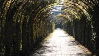 June Tabor - All Tomorrow&#39;s Parties