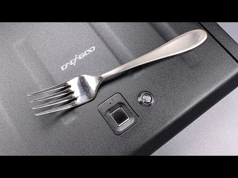 [1065] FINALLY! A Fingerprint Gun Safe With Truth in Labeling (CaCaGoo)