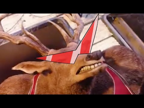 What Gurren Lagann does to a mf: