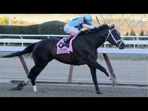 My Reaction To Verrazano - 2013 Wood Memorial (G1)