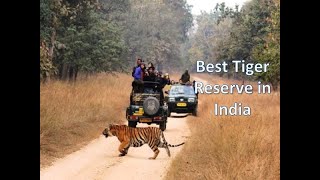 preview picture of video 'Pench National Park Tour'