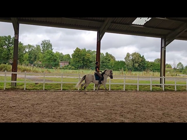 PRE PP entier 11 ans &ndash; Tr&egrave;s bon mental, polyvalent, 9 9