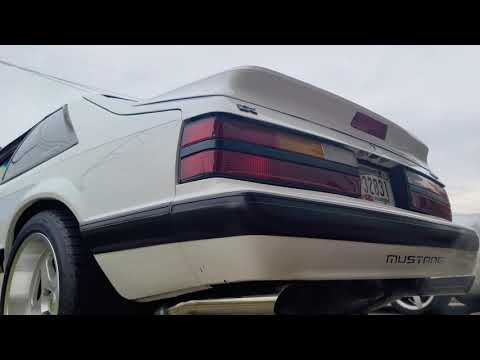 40 Series Flowmaster 3 inch exhaust on my Foxbody