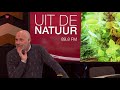 Winterkruiden van Marlies Engels