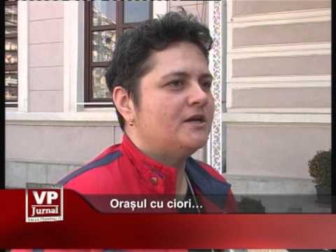 Orașul cu ciori…