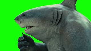 King Shark “bird” green screen