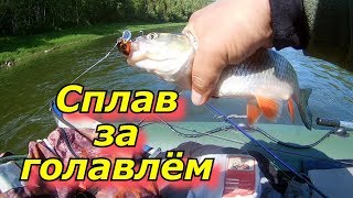 Когда начинать ловить щуку на чусовой сулем