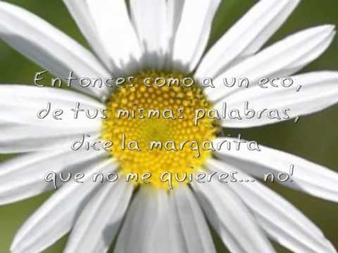 Como la Margarita - Alfredo De Ángelis - Carlos Dante y Oscar Larroca - con letra