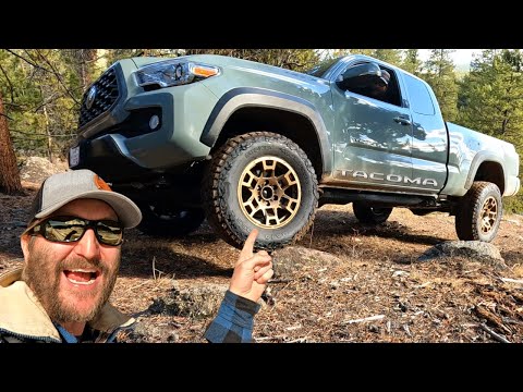 Off Road Testing Mickey Thompson Baja Boss A/T Tires - Best Tacoma Tires no Lift!