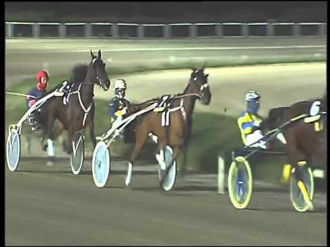 Trotto 14/01/2016 - 8° corsa