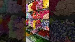 Download lagu berbagai macam bunga🤗 mp3 Download lagu berbagai macam bunga🤗 mp3