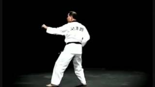 Taegeuk 4: Sa Jang