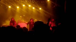 Jaya the cat - right round baby right round