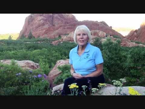 download lagu mp3 mp4 Is Liatris Deer Resistant, download lagu Is Liatris Deer Resistant gratis, unduh video klip Is Liatris Deer Resistant