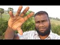 ASMR ️ CAMERA TAPPING AND SCRATCHING ️