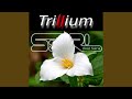 Trillium Feat Sara Slowed