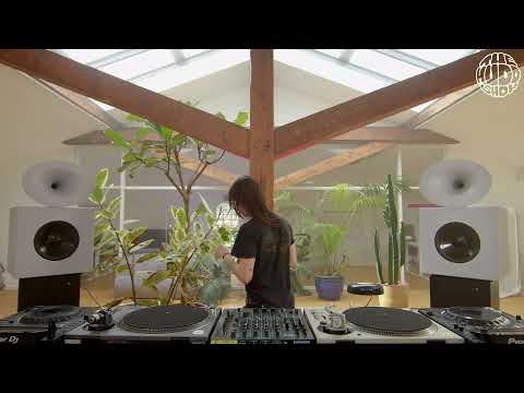 Bella Sarris | themuddshow