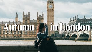 大充実のロンドン1泊2日Vlog💐念願のHarrods🧸🇬🇧