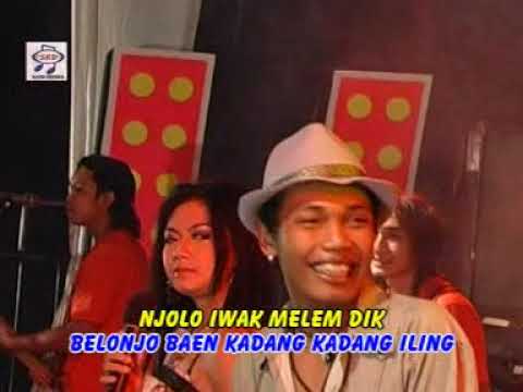 download lagu mp3 mp4 Suliyana Rabi Maning feat Dhani Gumintang, download lagu Suliyana Rabi Maning feat Dhani Gumintang gratis, unduh video klip Suliyana Rabi Maning feat Dhani Gumintang