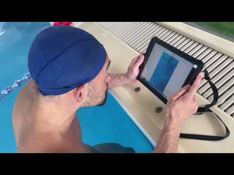 ガーデンスイミングプールのレイアウト - インスピレーションを与えるアイデアと写真  庭園