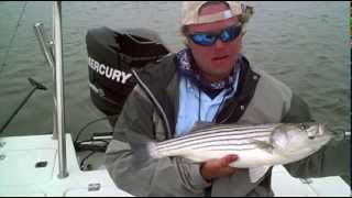2010 "Fun Boat" Fishing Video Blackfish,Fluke,Black Drumfish, Triggerfish,Sea Bass,Striped Bass