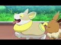 EEVEE CUTE MOMENT Episode 49