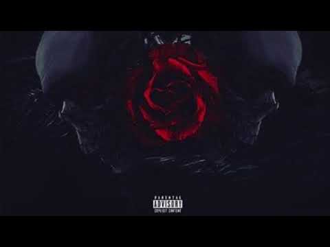 Meechie Doe - “ 1st Body “ [Official Audio]