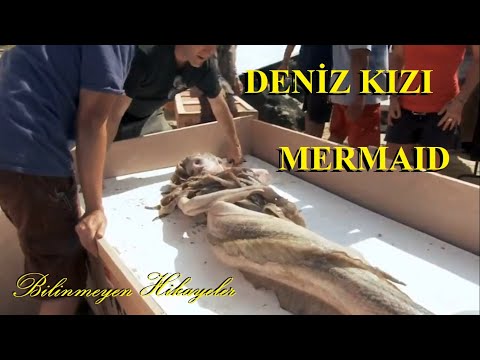 , title : '#DenizKIZI #Mermaid gerçek görüntüler'