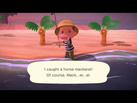 YouTube video about: Where to find horse mackerel in animal crossing?