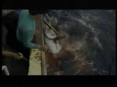 TEFLA & JALEEL ft. J-LUV "wundervolle welt"