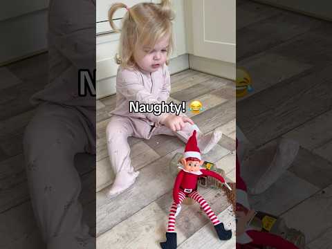 Arabella meets elf On a shelf #shorts