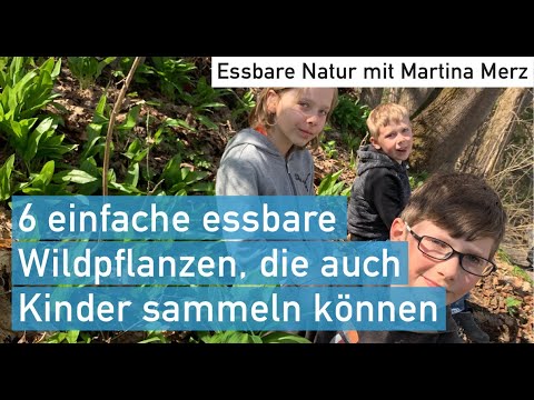 6 einfache & sichere Wildkräuter für Kinder & Eltern – Tipps & Grundregeln zum erfolgreichen Sammeln